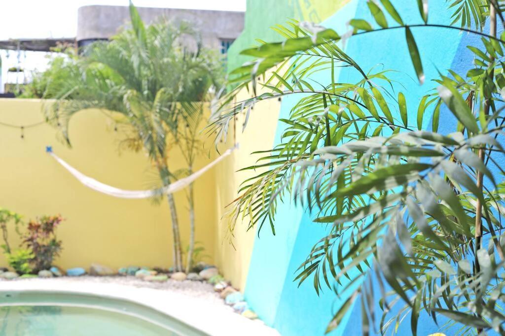 Studio -Trees At Mikasa- Near Beach, Pool, Fast Wifi, Ac & King Bed Puerto Escondido  Exterior foto